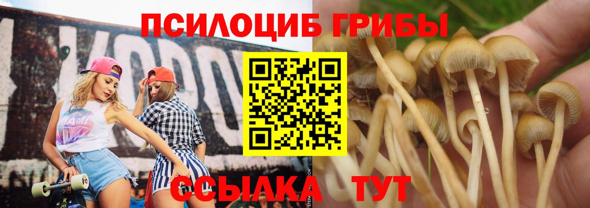Балашиха  Псилоцибиновые грибы мухоморы  Вход с VPN 