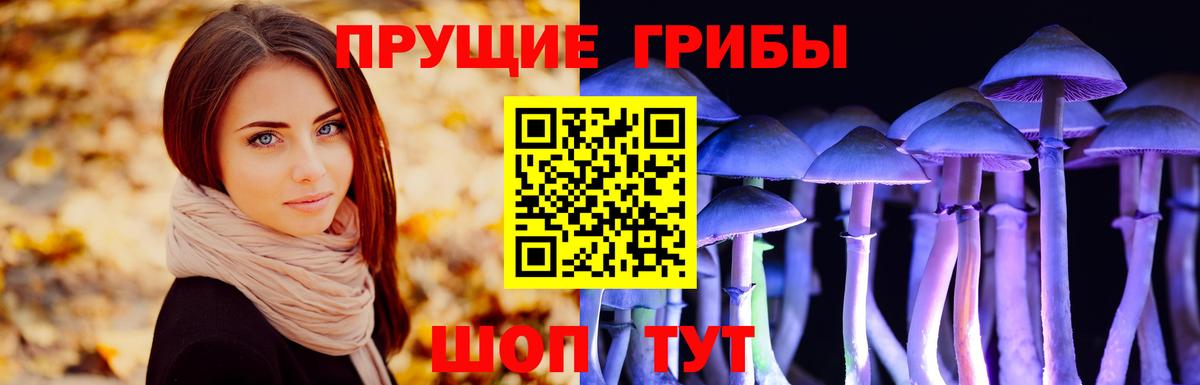 Псилоцибиновые грибы MAGIC MUSHROOMS Балашиха